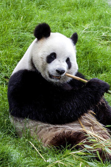 官宣分手！今晚的瓜，整个娱乐圈都炸了